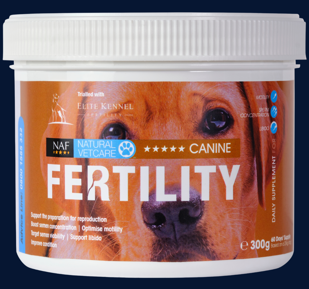 fertility supplement canine stud dog powder sperm increase